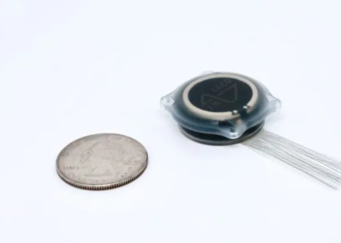 Samsung Siap Produksi Chip Otak Neuralink Generasi Baru