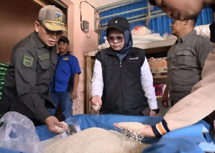 Sulteng Perkuat TPID dan Bulog untuk Kendalikan Harga Beras dan Jamin Ketersediaan Stok