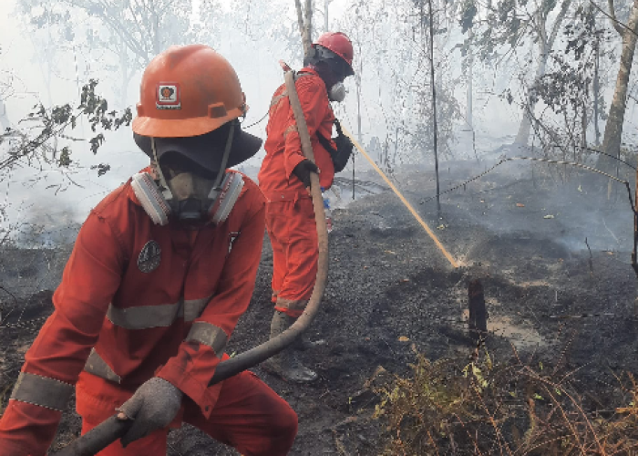 OMC Karhutla Kalimantan Terus Digenjot, Armada Udara Ditambah