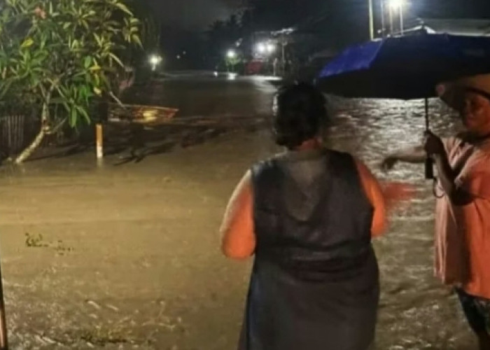 Banjir Bandang di Sausu: 284 Jiwa Terdampak dan 1 Jembatan Putus