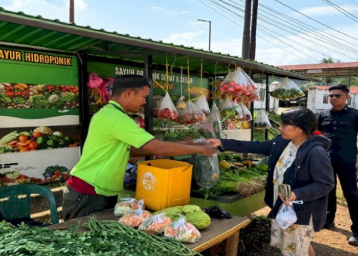Bikin Kaget Warga! Bekas Narapidana di Sulteng Malah Sukses Bisnis Jualan Sayur Segar, Kok Bisa?