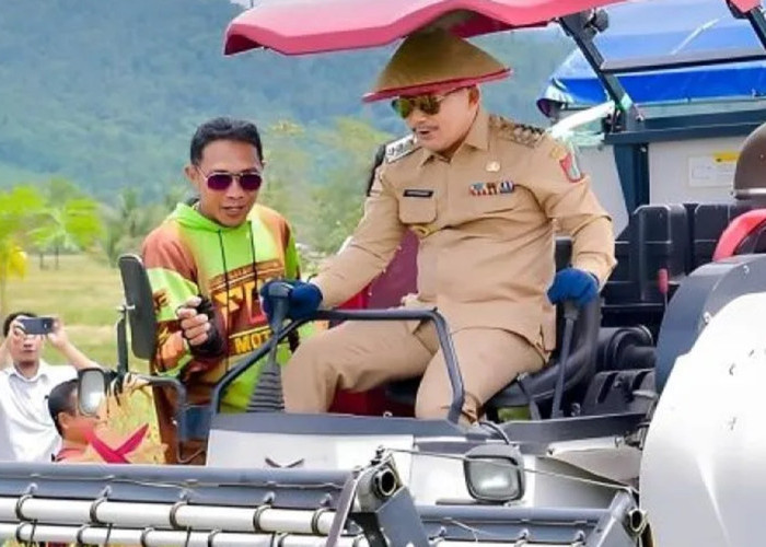 Pemkab Banggai Dorong Kemandirian Pangan Lewat Penguatan Sektor Pertanian