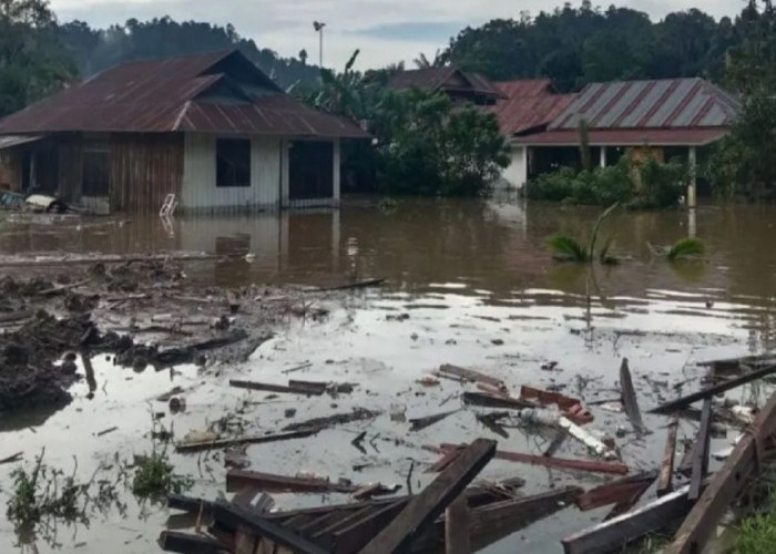 BPBD Sulteng Tangani Banjir di Poso, 60 Rumah Warga Terdampak