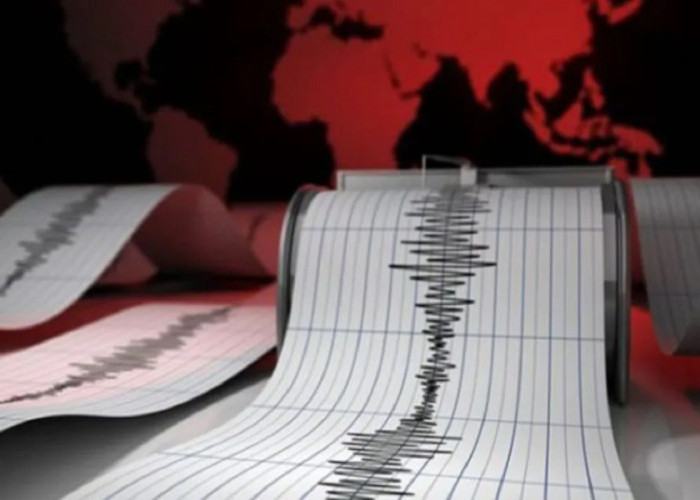 Gempa Magnitudo 5,0 Guncang Palu: Tidak Berpotensi Tsunami, Warga Tetap Diimbau Waspada