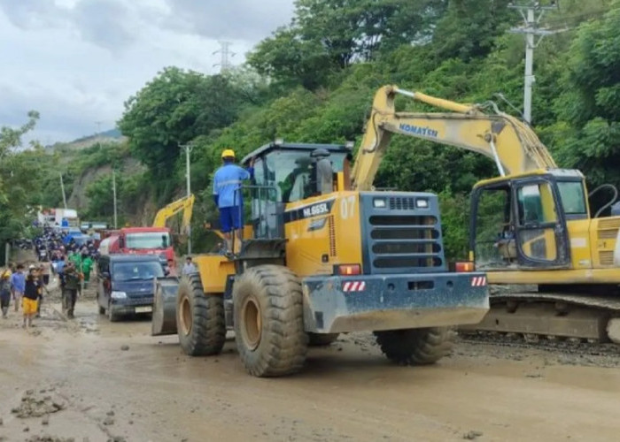 Banjir Putus Akses Jalan di Dusun Wana Palu, BPBD Sulteng Lakukan Asesmen