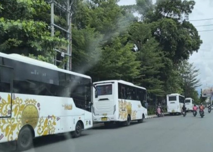 Perluas Layanan Bus Trans Pali, Pemkot: Sediakan Transportasi Publik yang Aman