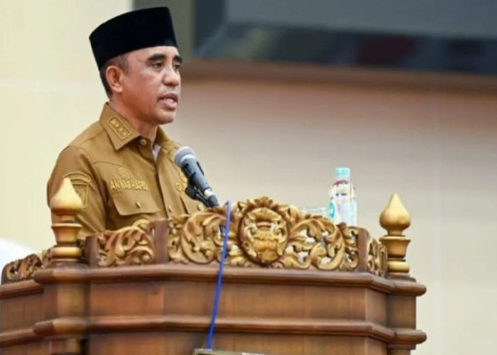 Pemprov Sulteng Bentuk Satgas Tambang dan Lingkungan, Tangani Konflik dan Dorong Legalitas
