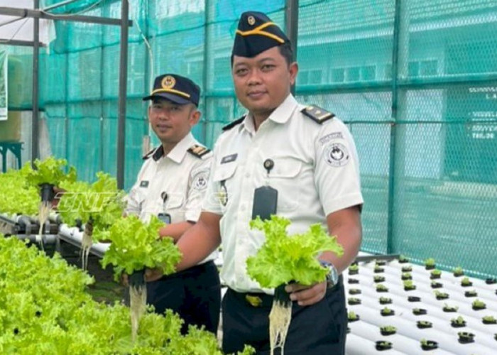 Lapas Luwuk Kembangkan Hidroponik dan Pertanian, Bekali Warga Binaan Keterampilan Mandiri