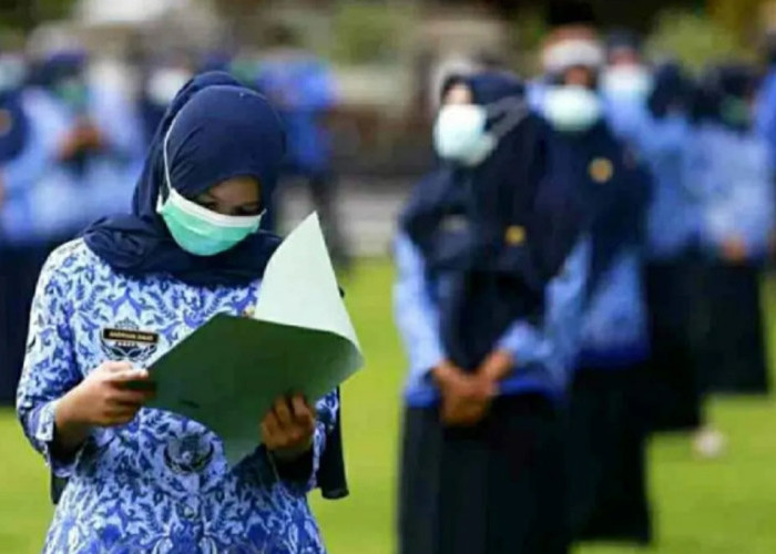 Pemkab Sigi Usulkan 1.180 Tenaga Honorer Ikuti Seleksi PPPK Paruh Waktu Tahun 2025