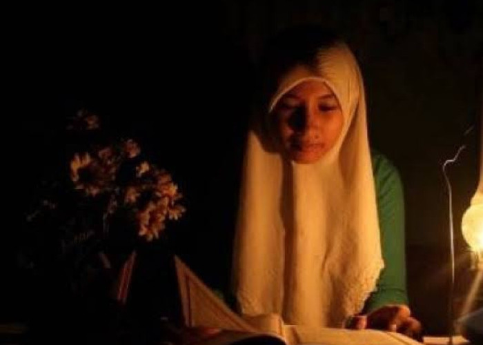 Sebagian Besar Wilayah di Sulteng Mati Lampu, PLN Palu: Gangguan pada Sistem Transmisi SUTT