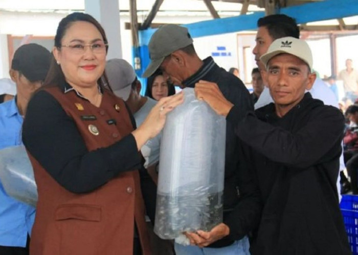 Pemkab Donggala Dorong Wujudkan Sektor Perikanan Laut Berbasis Ekonomi Biru