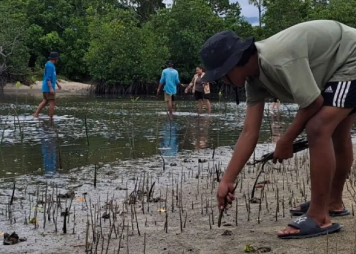 50 Pelajar di Parimo Diedukasi Mangrove dan Pemilahan Sampah, Tanam 2.560 Bibit