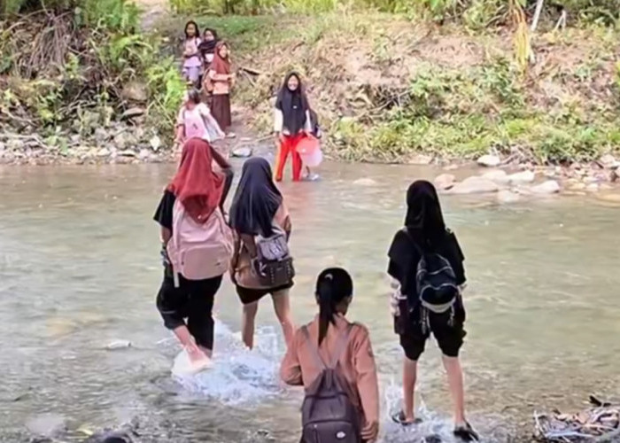 Viral Siswa SD Berenang ke Sekolah di Sulteng, Kini Jembatan Mulai Dibangun