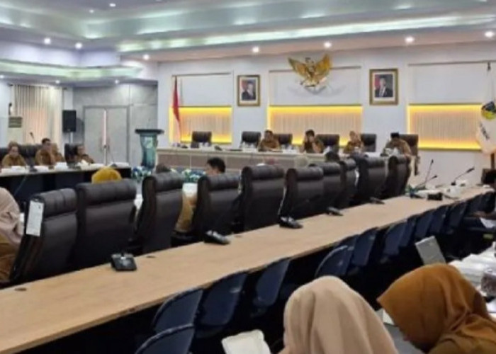 BPK Periksa Nikel Sulteng, Mengapa IMIP Ikut Disorot?