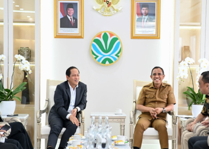 Gubernur Sulteng Anwar Hafid Bertemu Menteri Lingkungan Hidup, Bahas Penindakan Tambang Ilegal
