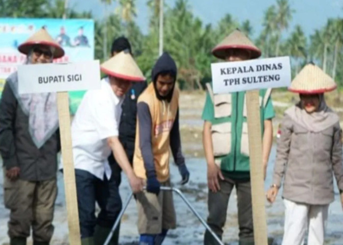 Tanam Padi Perdana di Sawah Baru, Pemkab Sigi Dukung Swasembada Pangan