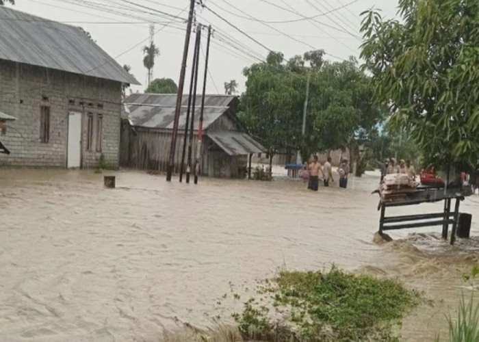 Banjir Terjang Donggala, Ratusan Rumah di 10 Desa Kecamatan Sirenja Terendam