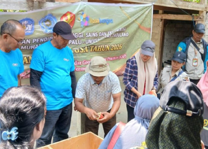 Untad dan Unismuh Palu Latih Petani Sigi Olah Kakao Bernilai Ekonomi