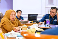 Pemprov Sulteng Dukung Sensus Ekonomi 2026, Dorong Data Akurat untuk Pembangunan Daerah