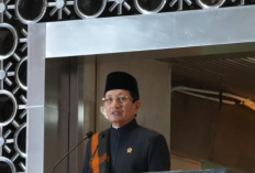 Nasaruddin Umar Dorong Pemimpin Agama Aktif Kampanyekan Pelestarian Lingkungan