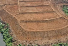 Sulteng Cetak Sawah Baru 3.000 Hektare, Perkuat Lumbung Pangan Nasional