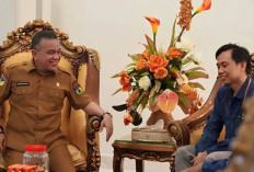 Pemkot Palu Dukung Sensus Ekonomi 2026, Perkuat Perencanaan Berbasis Data Akurat