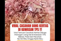 Bekasi Heboh, Cacahan Uang Kertas Merah Tergeletak di TPS 