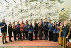 Sidak Pasar Jelang Lebaran, Wagub Sulteng Temukan Harga Daging dan Ayam Naik!