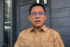 Siaga 1 Godzilla El Nino: Pemkab Sigi Ajak Warga Lestarikan Hutan