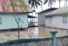 BPBD Sulteng Data Dampak Banjir Rob di Buol dan Banggai Laut