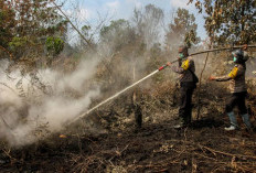 Karhutla Parimo Meluas, Bupati Erwin Perintahkan Pendataan Kebun Warga Terdampak