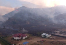 Karhutla Hanguskan Sekitar 20 Hektare Kebun Warga di Parigi Moutong