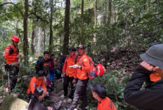 7 Pendaki Gunung Nokolalaki Ditemukan Selamat