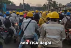 Anwar Hafid: TKA Ilegal Tak Bisa Ditoleransi, Hak Pekerja Lokal Harus Dilindungi