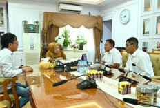 Wagub Sulteng Terima Audiensi INKINDO, Perkuat Kolaborasi Perencanaan Pembangunan