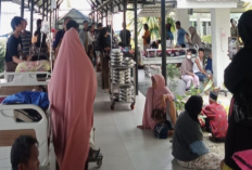 Gempa M6,7 Guncang Sulawesi Tengah, Pasien Rumah Sakit Dievakuasi ke Area Terbuka