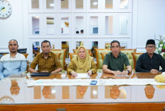 Wagub Sulteng Pastikan Honor Tenaga Honorer Tetap Dibayarkan pada 2026