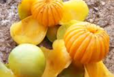 Buah Dengen, Si Asam Segar Khas Sulawesi yang Kaya Manfaat