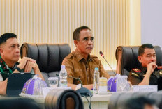 Bencana Karhutla Mengancam, Gubernur Sulteng Ambil Tindakan Tegas dan Serukan Gerakan Masif!