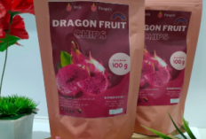 Keripik Buah Naga, Oleh-oleh Khas Palu yang Renyah dan Bergizi