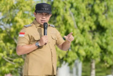 Bupati Morowali Pastikan Tenaga Honorer Tetap Aman, Tak Ada yang Dirumahkan
