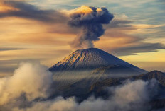 Jawa Timur Siaga Satu ! Gunung Semeru Erupsi lagi Diiringi 14 kali Gempa