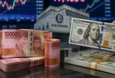 Pemkot Palu Tindak Lanjuti 75 Persen Temuan BPK atas Keuangan 2025
