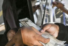 Besok, Pajak Kendaraan Dipotong 50% Plus Bebas Denda