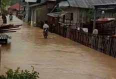 Sungai Mapaga Meluap, 30 Rumah di Desa Labean Donggala Terendam Banjir