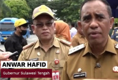 Berani Mudik Gratis Nataru 2025, Pemprov Sulteng Fasilitasi 565 Pemudik