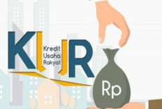Rp3,06 Triliun KUR Mengalir ke Sulteng, Palu Tertinggi