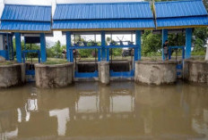 Sigi Usulkan Perbaikan Irigasi untuk Produktivitas Pertanian