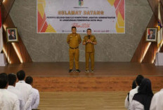 Ratusan ASN Palu Ikuti Uji Kompetensi, Pemkot Dorong Penempatan Jabatan Lebih Tepat