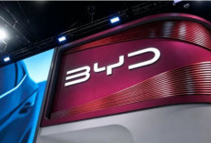 BYD Patenkan Pendeteksi Makhluk Hidup, Pengembangan Computer Vision